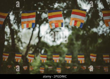 Mazzetto multicolore appeso sulle cime degli alberi, Vietnam Foto Stock