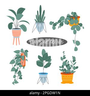 Collezione di piante decorative per la casa Illustrazione Vettoriale