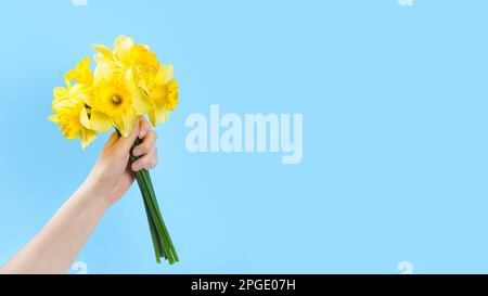 Mano con bouquet di fiori gialli dalle narcisi luminose, campane pasquali su sfondo blu. Fiori primaverili in fiore. Mockup, modello per le vacanze, compleanno Foto Stock