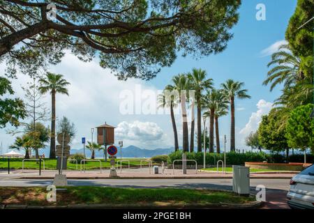 Parco fantastico nella parte sinistra della Croisette con pini e palme a Cannes . Auto nel parcheggio. Estate! Sul lato sinistro, un uomo (distanza) tak Foto Stock