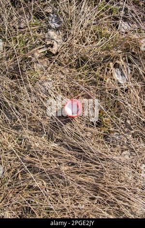 tappo per bottiglia foto in erba in una giornata di sole Foto Stock