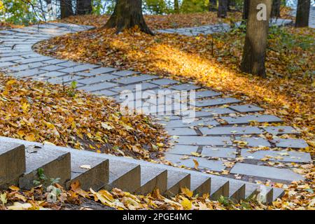 gradini di pietra nei parchi sparato primo piano. scale nel parco Foto Stock