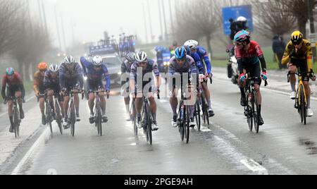 De Panne, Belgio. 22nd Mar, 2023. Il pack di piloti leader raffigurato in azione durante la gara d'élite maschile della 'Classic Brugge-De Panne', gara ciclistica di un giorno, 207,4km da Brugge a De Panne, mercoledì 22 marzo 2023. FOTO DI BELGA DIRK WAEM Credit: Agenzia Notizie di Belga/Alamy Live News Foto Stock