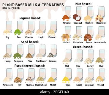 Set di bicchieri con latte a base di piante. Infografica sui tipi di latte vegano. Mandorla, soia, riso, cocco, anacardi, nocciola, avena, lino, noce, canapa, latte di piselli. M Illustrazione Vettoriale