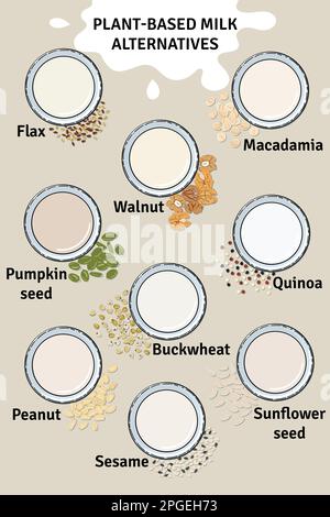 Modello di bicchieri con latte a base di piante. Latte vegano in vetro. Vista dall'alto. Macadamia, lino, noce, semi di zucca e girasole, latte di sesamo. Latte alte Illustrazione Vettoriale