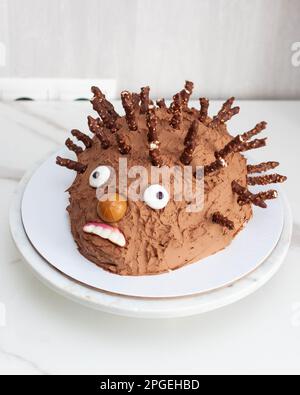 Divertente e brutta torta hedgehog per il compleanno dei bambini fatta di cioccolato e dolci Foto Stock