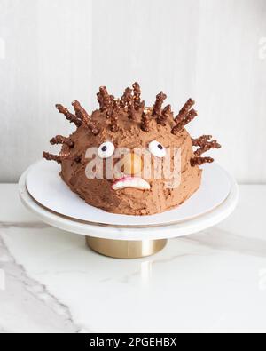 Divertente e brutta torta hedgehog per il compleanno dei bambini fatta di cioccolato e dolci Foto Stock