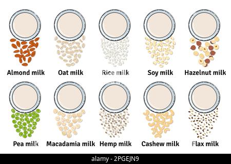 Modello di bicchieri con latte a base di piante. Latte vegano in vetro. Vista dall'alto. Mandorla, soia, riso, anacardi, avena, piselli, lino, noce, canapa, latte di nocciola. Latte Illustrazione Vettoriale