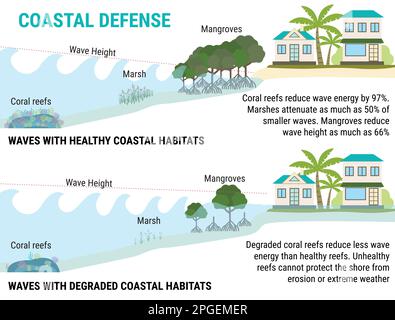 Infografica sull'innalzamento del livello del mare. Difese costiere a livello del mare in aumento - mangrovie, paludi, barriere coralline, dighe. Protezione contro le alluvioni. Riscaldamento globale e clima Illustrazione Vettoriale