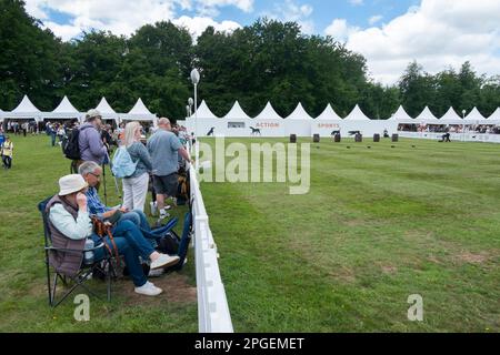 Una coppia anziana seduta su sedie da campeggio accanto ad altri spettatori presso la sezione Actions Sports di Goodwoof, The Kennels, Goodwood, West Sussex, UK Foto Stock