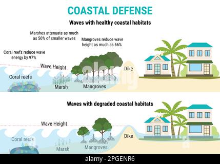 Infografica sull'innalzamento del livello del mare. Difese costiere a livello del mare che sale - mangrovie, paludi, barriere coralline, dighe. Protezione contro le alluvioni. Riscaldamento globale e clima Illustrazione Vettoriale