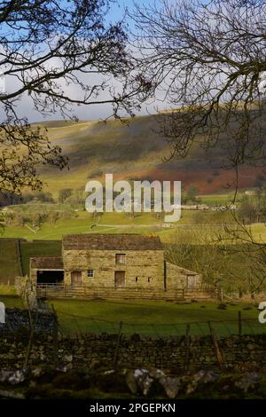 Ramshackle vecchia casa colonica situata in una valle illuminata da luce solare ventosa con colline ondulate e nuvole ombre, Hawes, Wensleydale, Yorkshire Dales. Foto Stock