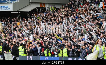 I fan di Grimsby hanno fatto ondare i loro haddock durante. La finale di Emirates fa Cup tra Brighton e Hove Albion e Grimsby Town all'American Express Community Stadium , Brighton UK - 19 marzo 2023 - Foto Simon Dack/Telephoto Images solo per uso editoriale. Nessun merchandising. Per le immagini di calcio si applicano le restrizioni di fa e Premier League inc. Nessun utilizzo di Internet/cellulare senza licenza FAPL - per i dettagli contattare Football Dataco Foto Stock