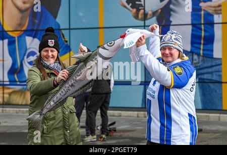 Brighton Seagulls e Grimsby Haddocks si mescolano durante l'incontro finale della Emirates fa Cup tra Brighton e Hove Albion e Grimsby Town all'American Express Community Stadium , Brighton UK - 19 marzo 2023 - Foto Simon Dack/Telephoto Images solo per uso editoriale. Nessun merchandising. Per le immagini di calcio si applicano le restrizioni di fa e Premier League inc. Nessun utilizzo di Internet/cellulare senza licenza FAPL - per i dettagli contattare Football Dataco Foto Stock