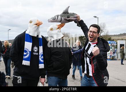 I fan di Brighton Seagulls e Grimsby Haddock si mescolano prima della finale di Emirates fa Cup tra Brighton e Hove Albion e Grimsby Town all'American Express Community Stadium , Brighton UK - 19 marzo 2023 - Foto Simon Dack/Telephoto Images solo per uso editoriale. Nessun merchandising. Per le immagini di calcio si applicano le restrizioni di fa e Premier League inc. Nessun utilizzo di Internet/cellulare senza licenza FAPL - per i dettagli contattare Football Dataco Foto Stock