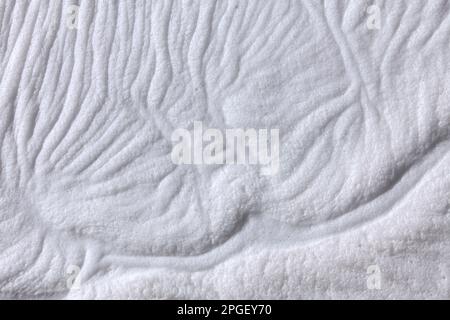 Schiuma di mare / schiuma da spiaggia / spume bianco, creato dall'agitazione di acqua di mare e disgregazione offshore di alghe fiorite, lavato / soffiato sulla spiaggia Foto Stock