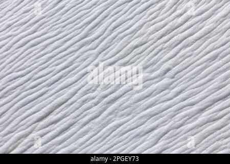 Schiuma di mare / schiuma da spiaggia / spume bianco, creato dall'agitazione di acqua di mare e disgregazione offshore di alghe fiorite, lavato / soffiato sulla spiaggia Foto Stock