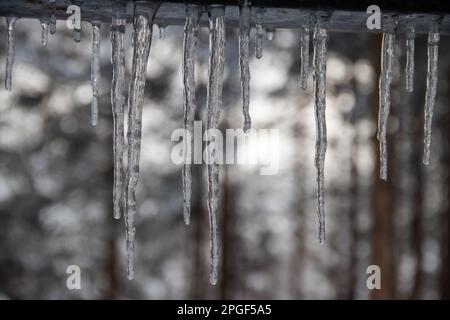 icicle appeso al tetto durante l'inverno Foto Stock