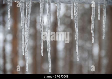 icicle appeso al tetto durante l'inverno Foto Stock