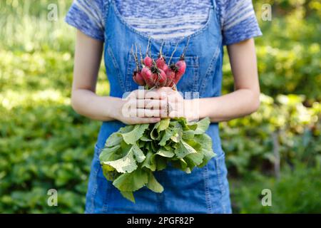 la giovane donna tiene un mazzo di ravanelli freschi a se stessa in una fattoria Foto Stock