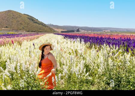 Donna che si inginocchia in un campo di fiori guardando i fiori Foto Stock