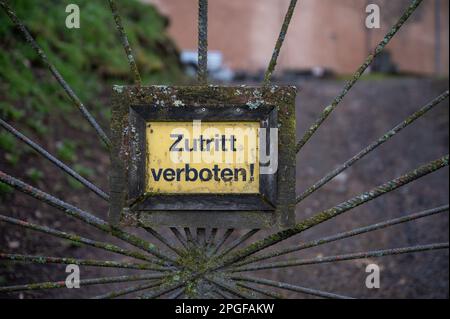Primo piano giallo tedesco Zutritt verboten, accesso vietato segno su una vecchia recinzione metallica al castello di Ronneburg, Germania Foto Stock