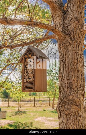 Bug hotel appeso su un albero in una giornata di sole Foto Stock