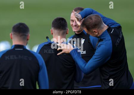 Giocatori della Bosnia-Erzegovina durante la sessione di formazione presso il centro di formazione della BiH fa in vista della partita DI qualificazione EURO 2024 tra Bosnia ed Erzegovina Islanda, a Zenica, Bosnia ed Erzegovina, il 22 marzo 2023. Foto: Armin Durgut/PIXSELL Foto Stock