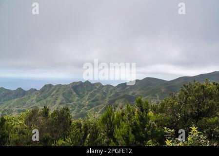 Giornata trascorsa nel parco nazionale di Anaga, Tenerife, Spagna a marzo Foto Stock