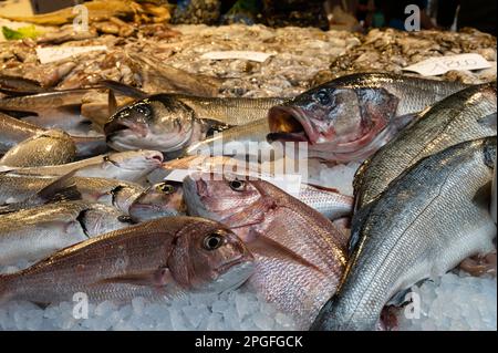 Pesce fresco esposto sul ghiaccio in un mercato ittico a Venezia. Foto Stock