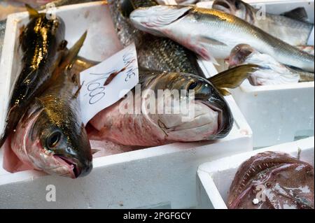 Pesce fresco esposto al mercato ittico di Venezia. Foto Stock