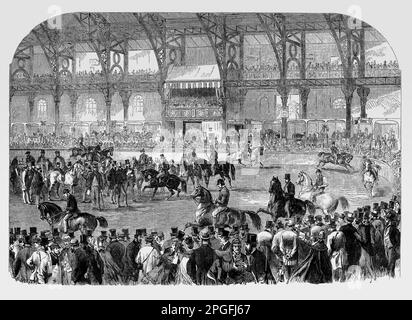 Il 1864 Horse Show presso l'Agricultural Hall di Islington, istituito nel 1860, per fornire un edificio adatto per la mostra di attrezzi agricoli e altri aspetti della vita di campagna. Foto Stock