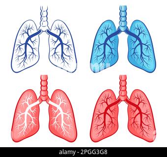 Polmoni umani, anatomia bronchi degli organi respiratori, insieme di icone per la salute del sistema respiratorio. Polmonite polmonare, tosse, trattamento dell'asma. Vettore del tratto respiratorio Illustrazione Vettoriale