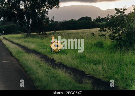 Cartello stradale di passaggio Nene vicino a una strada a Kauai, Hawaii - dicembre 2022. Foto di alta qualità Foto Stock