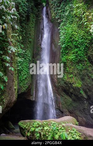 La veloce cascata di leke leke circondata da molte piante verdi e foglie nella giungla di Bal indonesia. Foto Stock