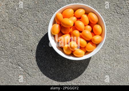 Ciotola bianca piena di piccoli kumquat, al sole Foto Stock