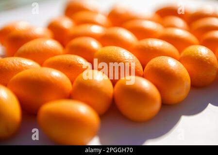 Primo piano su un gruppo di piccoli kumquat, illuminati dal sole Foto Stock