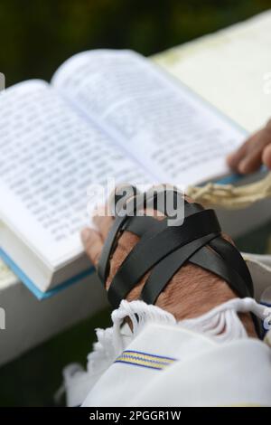 Un uomo ebreo che indossa Talit e tefillin durante le preghiere di Shacharit (preghiera del mattino). Foto Stock