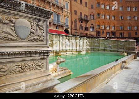 Siena, Piazza del campo, Fonte Gaia, Piazza campo, Fontana di Gaia, Patrimonio dell'umanità dell'UNESCO, Toscana, Italia Foto Stock