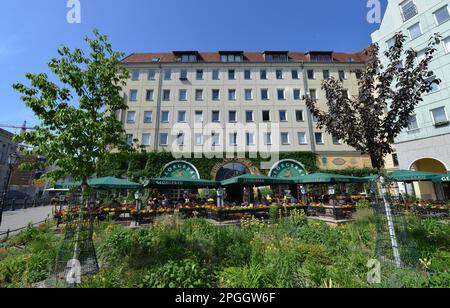 Georgbraeu, Propststrasse, quartiere Nikolaiviertel, Mitte, Berlino, Germania Foto Stock