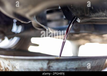 Sostituzione dell'olio sporco del motore scaricato da sotto un'auto in un vassoio Foto Stock