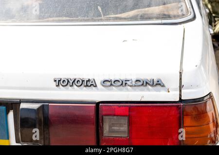 Logo Toyota corona su un tronco di un vecchio modello di auto 1983 Foto Stock