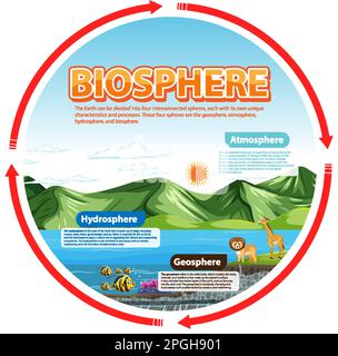 Biosphere Ecologia infografica per l'apprendimento Illustrazione Vettoriale