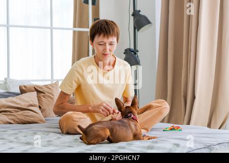 Proprietario che gioca con il cane gioioso a casa, felice donna matura godendo l'esercizio con il suo pinscher in miniatura carino. Giocare con il concetto di un cane a casa nella camera da letto sul letto Foto Stock