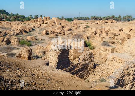 Babilonia, Iraq - 11 febbraio 2023: Babilonia, Iraq - 11 febbraio 2023: Vista ampia delle rovine di Babilonia, con alcune pareti e mattoni rimasti tra le date Palm Tree Farm Foto Stock