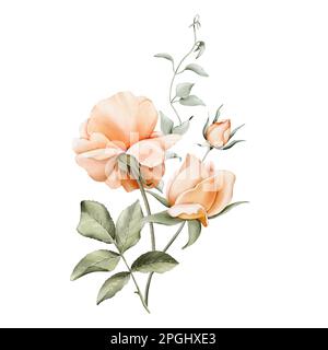 Acquerello bouquet floreale di rose di pesca e arancio, foglie verdi. Illustrazioni, isolate su sfondo bianco per corone, inviti di nozze, anniv Foto Stock