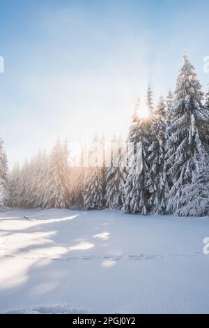 Favola invernale mozzafiato nei dintorni delle montagne di Lys, Beskydy, Repubblica Ceca. Il sole del mattino illumina la foresta innevata A. Foto Stock