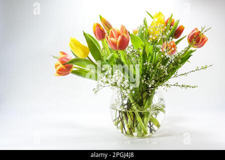 Fiore primaverile bouquet di tulipani rossi e gialli in vaso di vetro su sfondo grigio chiaro, decorazione o biglietto di auguri per Pasqua, Valente Foto Stock