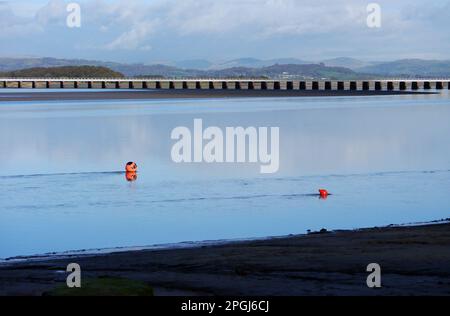 Il viadotto ferroviario a 50 campate che attraversa l'estuario del fiume Kent da Arnside a Grange-over-Sands dal sentiero costiero vicino Ash Meadow, Arnside, Cumbria. Foto Stock