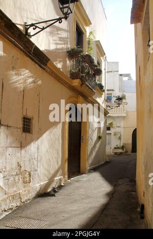 Vicolo stretto nel centro storico di Gallipoli Foto Stock